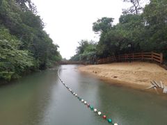 -广州白江湖森林公园