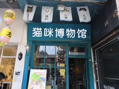 -猫咪博物馆(顶澳仔猫街店)