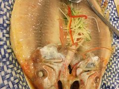 清蒸红斑鱼-顺峰海鲜酒楼(省府店)