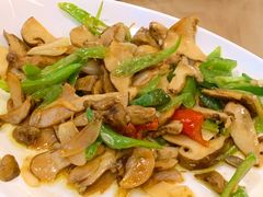 野生菌-四姑娘山阿巴郎·藏式花园餐厅