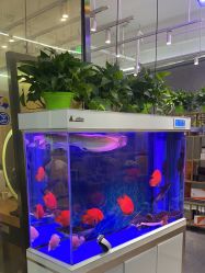 -宝诗护肤造型