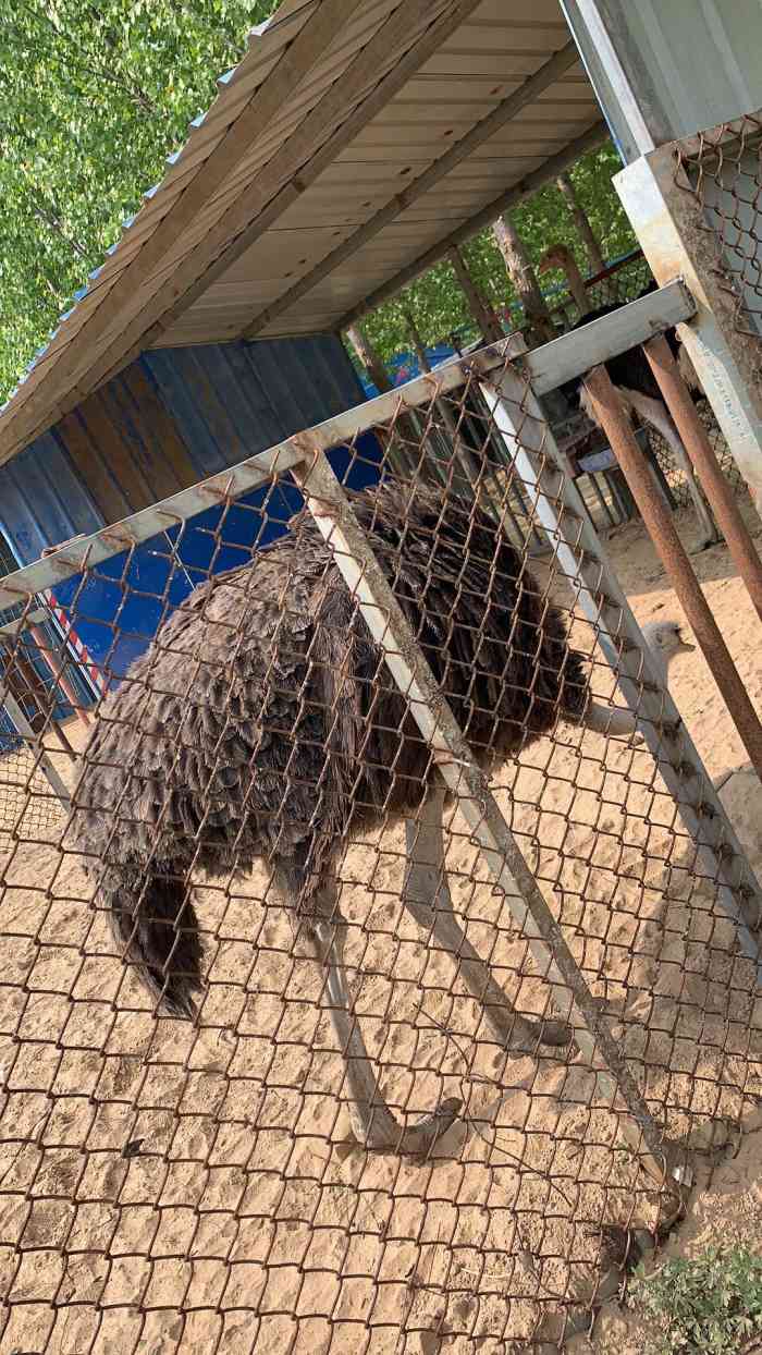 鹊华开心农场-"五一去哪……哪哪都是人.自助烧烤好去处,.