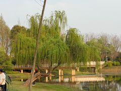 -尚贤河湿地