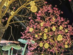 -光明小镇欢乐田园