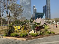 -Seesaw Coffee(深圳深业上城店)