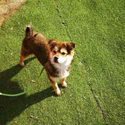 -萌宠亲子动物乐园(槐房万达店)