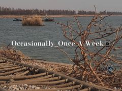 -贡湖湾湿地公园