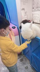 -神奇动物撸宠馆·羊驼·小浣熊·异宠(豫园店)