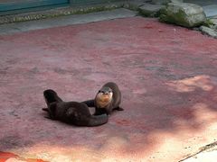 -杭州野生动物世界