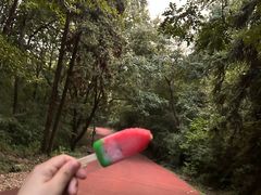 -敬亭山风景名胜区