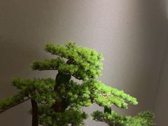 -耳域躺式采耳SPA馆(新街口店)