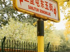 -三里屯东五街银杏大道