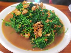 金花菜蚌肉-双桥饭店(锦溪店)