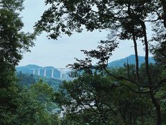 -黔灵山公园