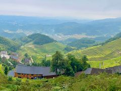 -紫鹊界梯田景区