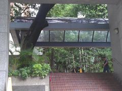 -香港大学