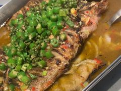 -鱼酷活鱼烤鱼(南京水游城店)