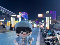 -映月湖中央公园