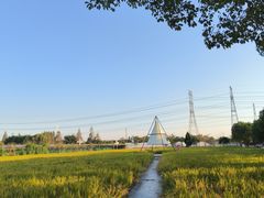 -金稼园·金平湖农家菜