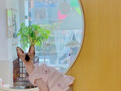 -Double Rui宠物酒店