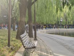 -团结湖公园
