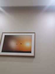 -北京米扬丽格医疗美容·联合丽格鼻整形中心