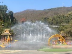 -西双版纳原始森林公园