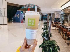 -奈雪的茶(石家庄万象城店)