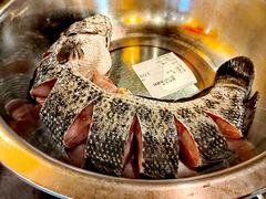 -万里闯关东铁锅炖菜馆(高新旗舰店)