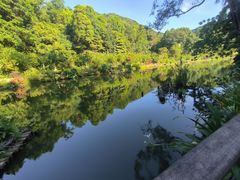 -深圳仙湖植物园