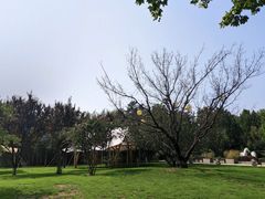 -春晖园度假酒店温泉