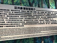 -野象谷景区