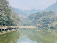 -青城山