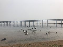 -黑石礁公园