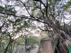 -乌山风景区
