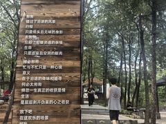 -沂蒙山旅游区云蒙景区(蒙山国家森林公园)