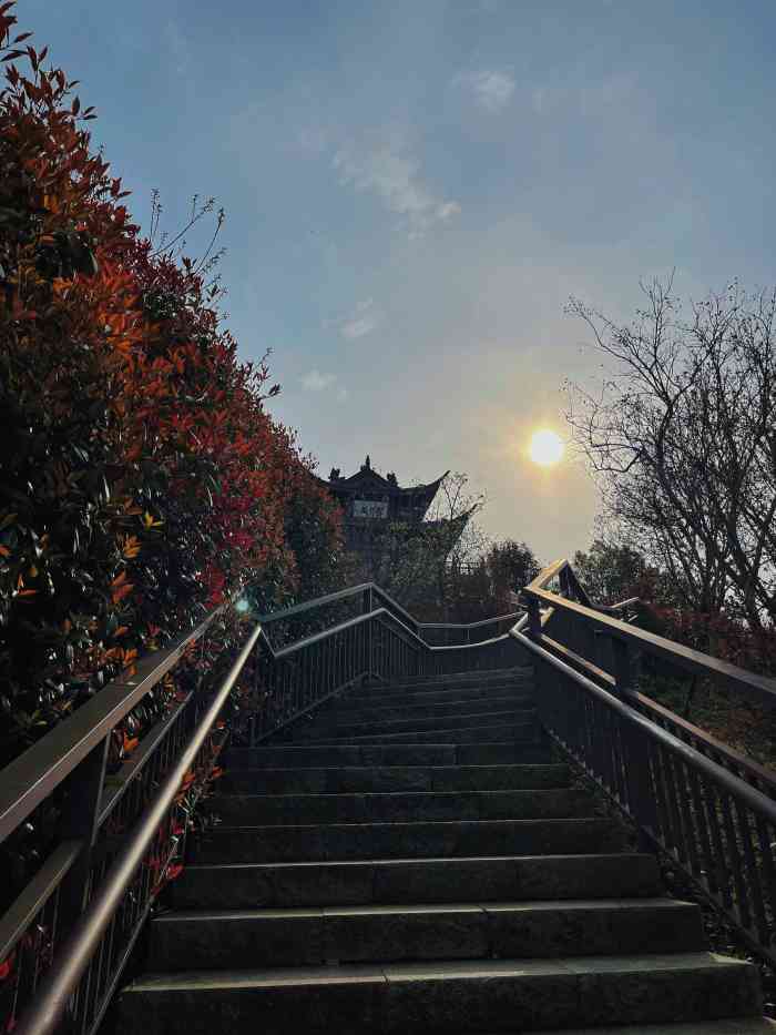 五龙山-"新区科技城那边的一座公园,爬山去都是台阶."-大众点评移动版