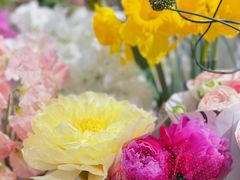 -双季花艺园艺市场(浦东店)