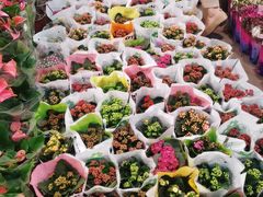 -双季花艺园艺市场(浦东店)