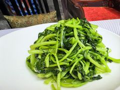 鸡毛菜-卫鼎轩·曹公馆(鼓楼店)