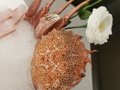 -曲水兰亭·兰亭·宴(上海虹桥店)