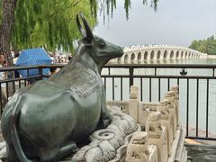 -颐和园