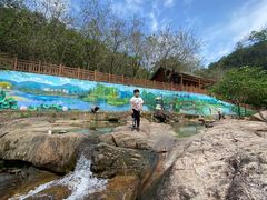 -广州白江湖森林公园