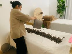 -姜美堂·蒸姜除湿の纤体美颜馆