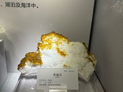 -湖南省地质博物馆