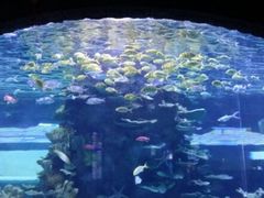 -左海海底世界