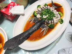 清蒸鸭嘴鱼-莲花餐饮(朱雀店)