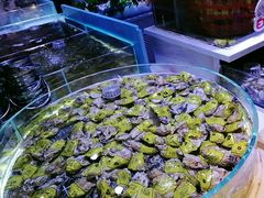 -聚盛源蒸汽海鲜火锅烤肉自助(巨川金海岸购物广场店)