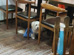 -新华阿喜烧烤(嘉泰雅园店)