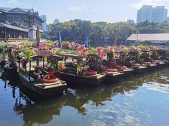 -荔湾湖公园